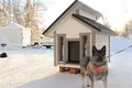 Hundkojan LYX – bild 6